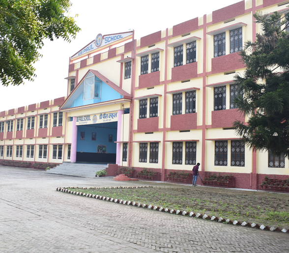 De Paul School Bilari